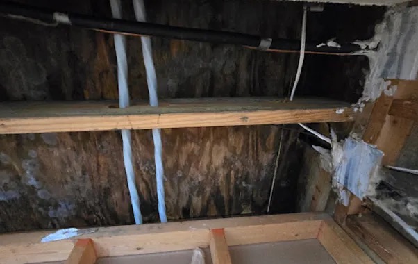 Attic Water Extraction in Scandia, MN