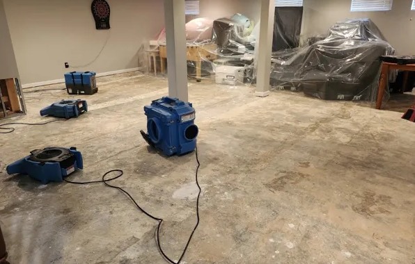 Dehumidification Services in St. Louis Park, MN
