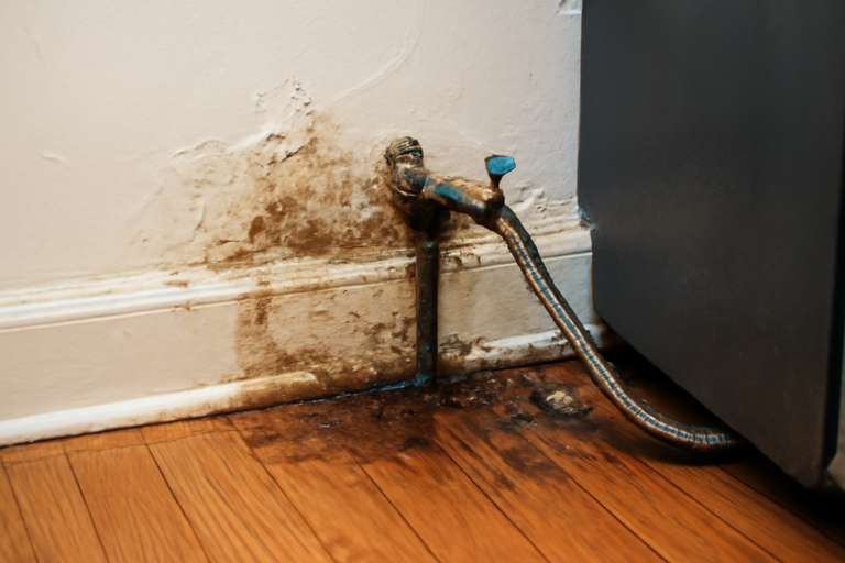 Refrigerator Water Line Leak Removal